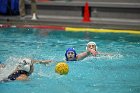 WWPolo vs CC  Wheaton College Women’s Water Polo compete in their sports inaugural match vs Connecticut College. - Photo By: KEITH NORDSTROM : Wheaton, water polo, inaugural